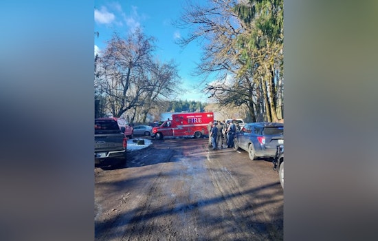 Shelton Lake Chaos as Bystanders Yank Woman, Kids From Frigid Water