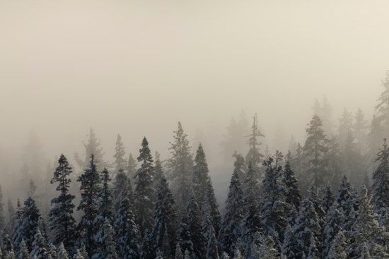 Slopfest in the Hub as Snow, Fog and Raw Winds Snarl Friday Commute