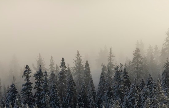 Slopfest in the Hub as Snow, Fog and Raw Winds Snarl Friday Commute