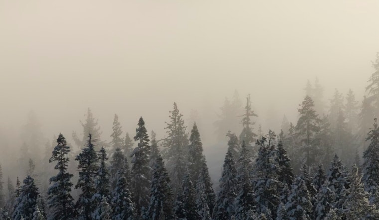 Slopfest in the Hub as Snow, Fog and Raw Winds Snarl Friday Commute