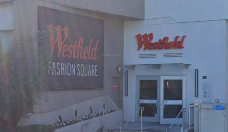 Smash-and-Grab at Westfield Fashion Square in Sherman Oaks