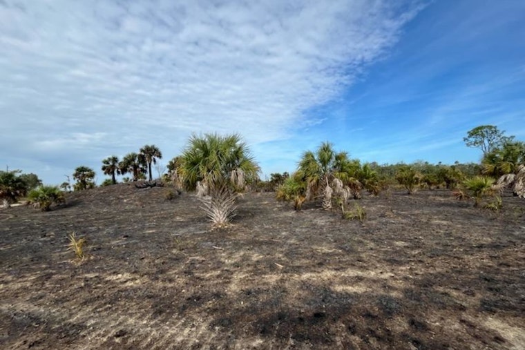 Smoke Creeps Toward Brooksville as Fire Crews Hold the Line