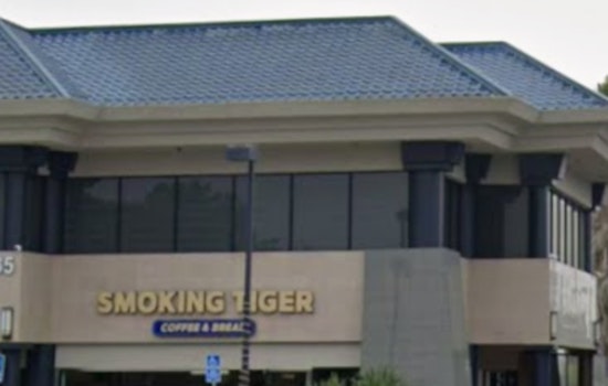 Smoking Tiger Heads Into Torrance And Arcadia