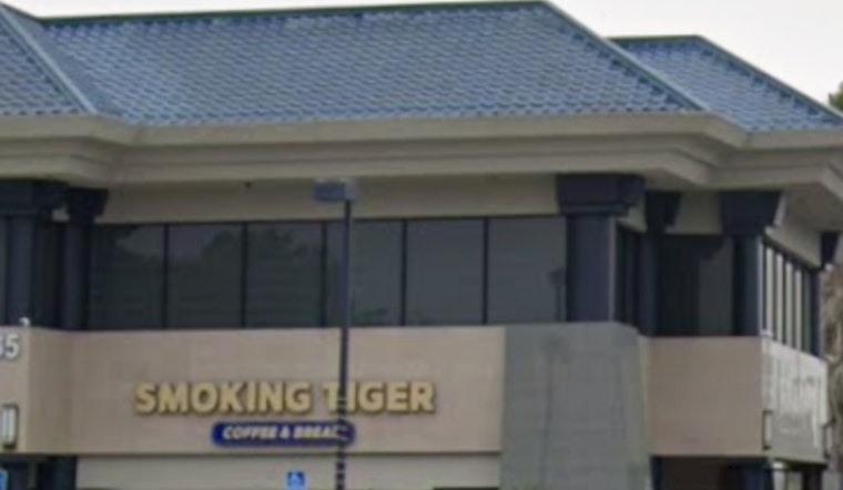 Smoking Tiger Heads Into Torrance And Arcadia