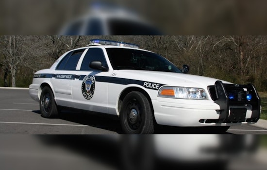 Smyrna Street Turns Chaotic as Two Loose Dogs Maul Five, Cop Hurt In Daylight Attack