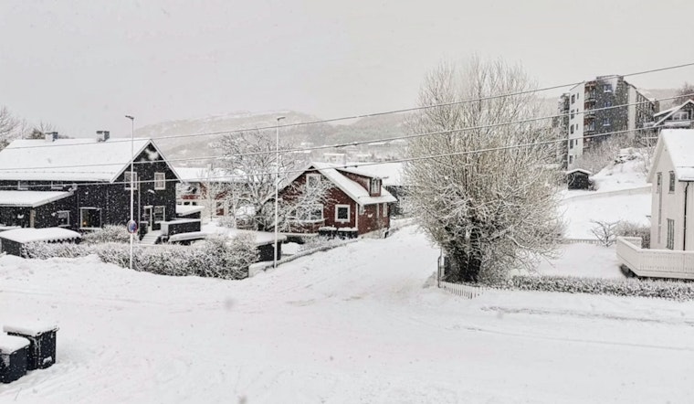 Sneaky Snow Band Poised To Snarl D.C. Commute