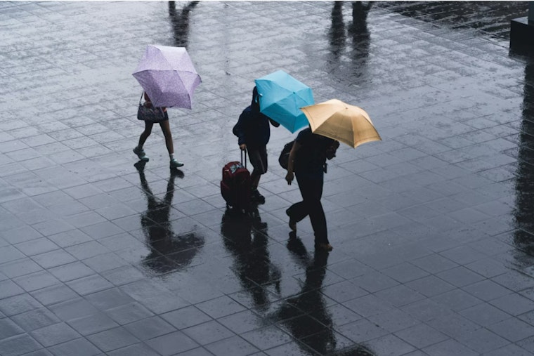 Soaked And Shaken: Windy Wednesday Turns Seattle Into A Splash Zone