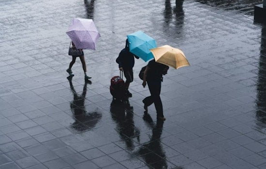 Soaked And Shaken: Windy Wednesday Turns Seattle Into A Splash Zone