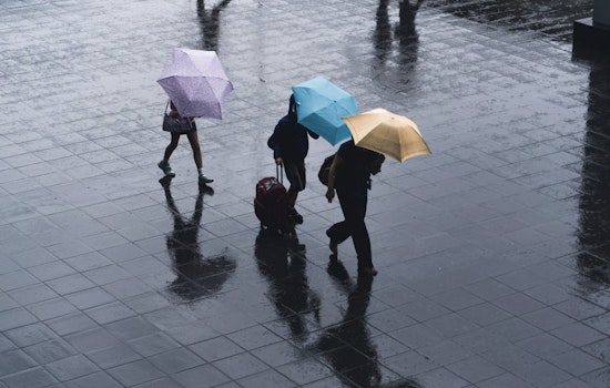 Soaking Rains And Whipping Winds Snarl Charlotte’s Morning Drive