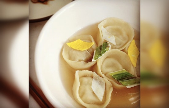 Soup Dumpling Invasion Hits Fowler Avenue By USF Tampa