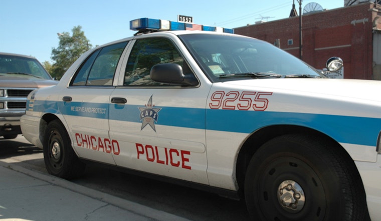 South Loop Senior Beaten on CTA, Police Seek Tips