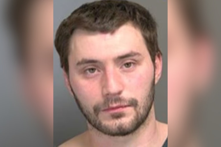 St. Clair Shores Man Accused Of Slamming Dog In Brutal Leash Attack
