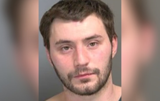 St. Clair Shores Man Accused Of Slamming Dog In Brutal Leash Attack