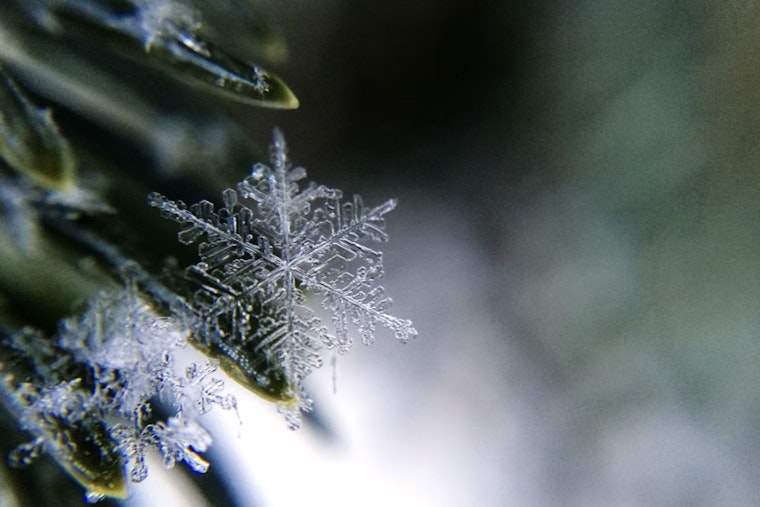 St. Louis Swaps Sunglasses For Snowflakes As Sunday Winds Roar In
