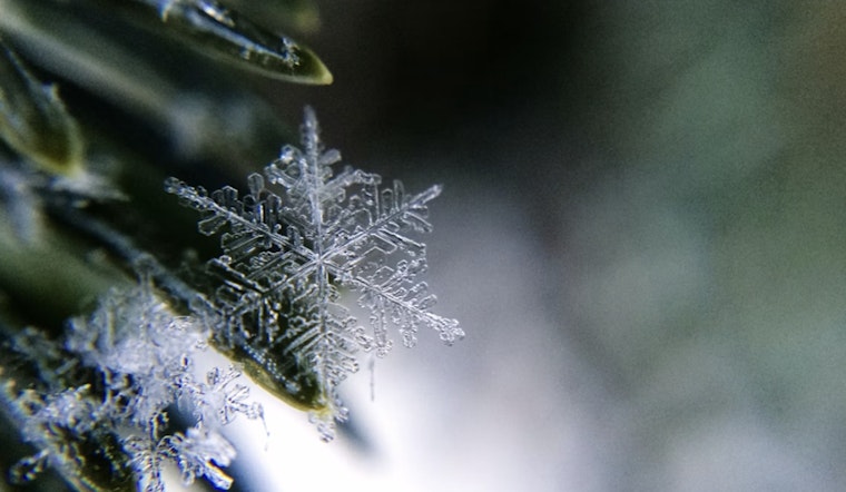 St. Louis Swaps Sunglasses For Snowflakes As Sunday Winds Roar In