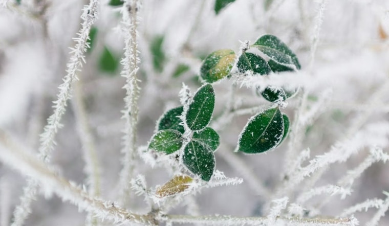 St. Louis Wakes To Backyard Icebox Before Spring Heat Cranks Up