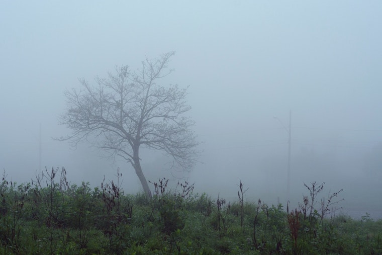 St. Louis Weather, Fog This Morning, Severe Risk Friday