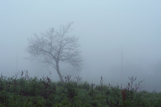 St. Louis Weather, Fog This Morning, Severe Risk Friday