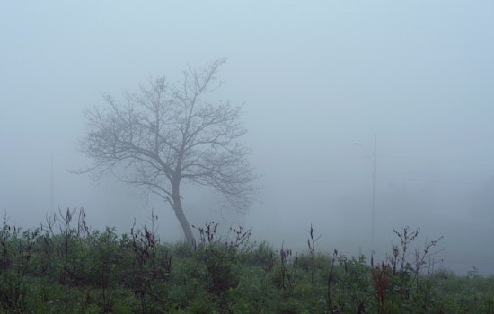 St. Louis Weather, Fog This Morning, Severe Risk Friday
