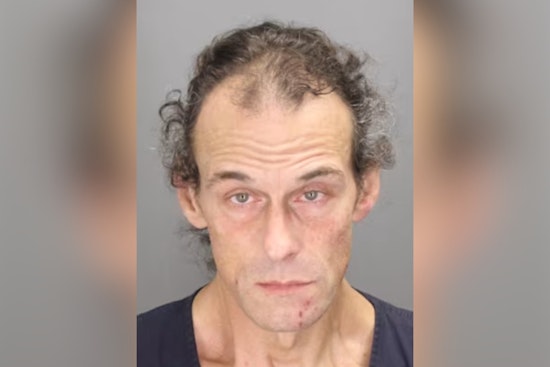 Sterling Heights Man Admits Guilt In Commerce Township Drunk-Driving Death