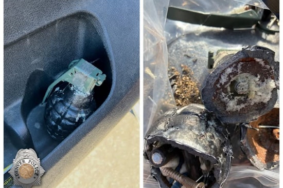Stolen Car Bust On Quiet Denver Block Ends With Fake Grenade Freakout