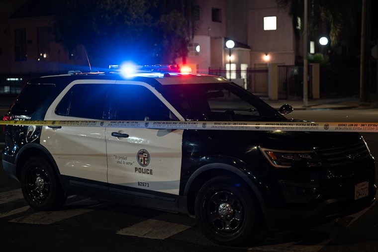 Stolen Red Sedan's Wild LAPD Chase Ends With Backyard Tackle in Long Beach