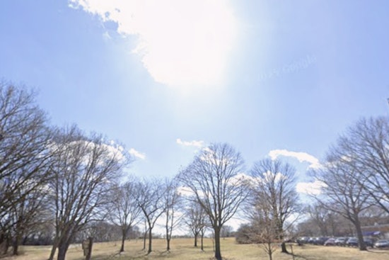 Sunny Sunday Teases Milwaukee Before Storms Crash in Monday Night