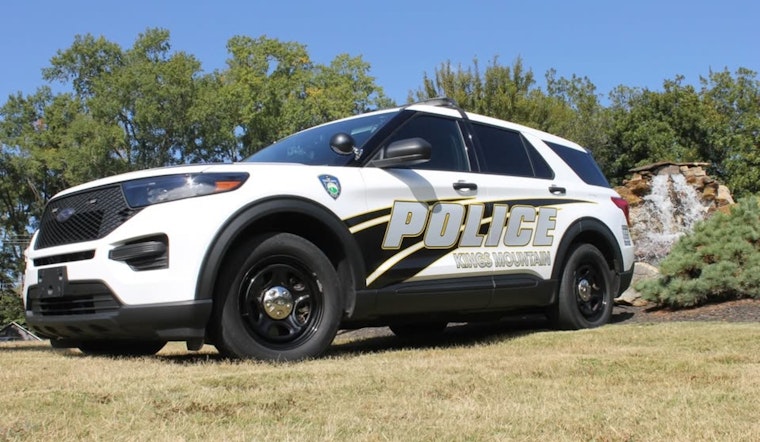 Kings Mountain Hit-and-Run, Elderly Pedestrian Killed, Suspect Nabbed Across State Line