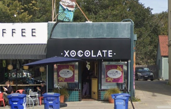 Sweet Meltdown: Rockridge Chocolate Shop Shuttered By Red Tape And Cocoa Chaos