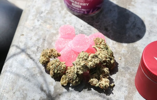 Sweet Talk Turns Sour As Ohio Yanks Unmarked Weed Gummies From Shelves