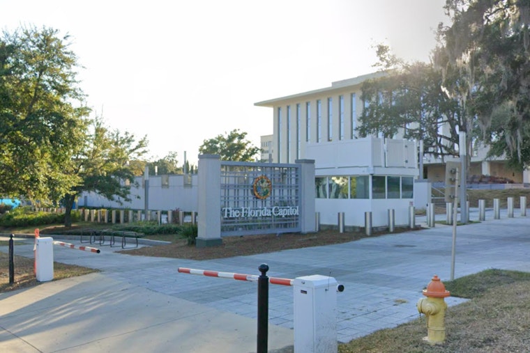 Tallahassee Targets Adults Who Drag Kids Into Animal Abuse