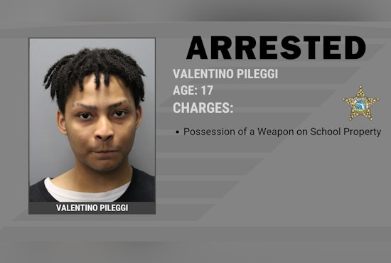 Tampa Teen Busted After Knives, Columbine Book Turn Up At Lennard High