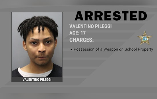 Tampa Teen Busted After Knives, Columbine Book Turn Up At Lennard High