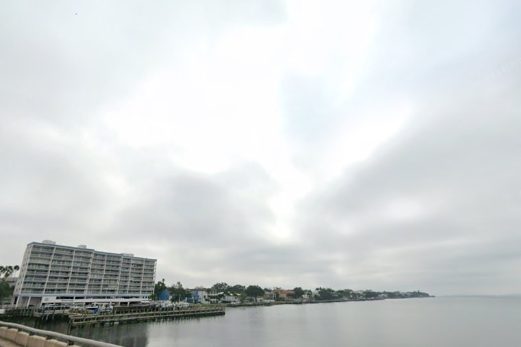 Tampa Turns Tropical As Temps Soar And Storm Chances Pop