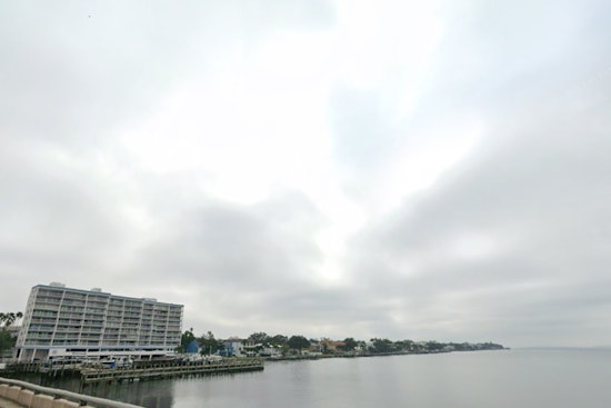 Tampa Turns Tropical As Temps Soar And Storm Chances Pop