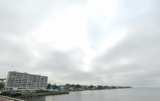 Tampa Turns Tropical As Temps Soar And Storm Chances Pop