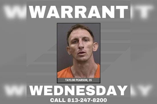 Tampa 'Warrant Wednesday' Dragnet Zeroes In On Taylor Pearson, 35