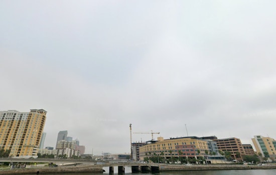 Tampa Weather, Morning Fog Then Warming Into The 80s