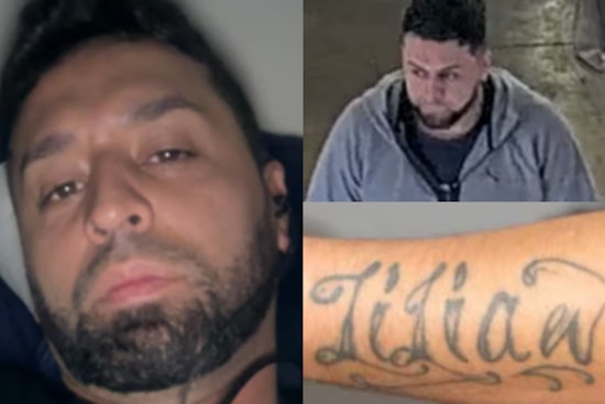 Tattooed Suspect Hunted in Wave of Woodlands Jewelry Heists