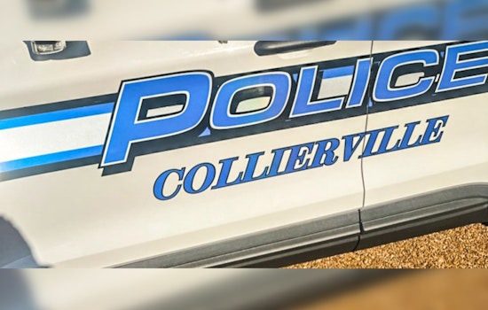 Teen Nabbed In Collierville Car Break‑In Spree Near Ashton Woods