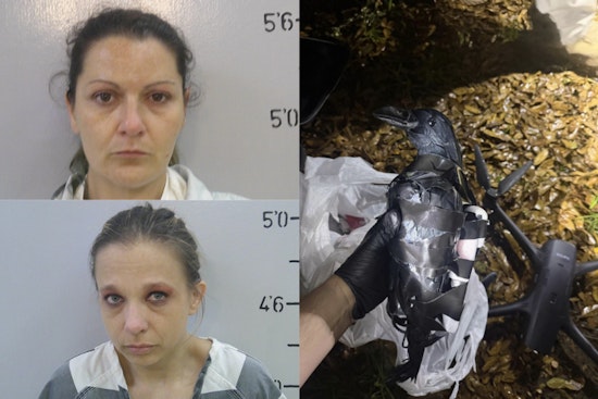 Texas Duo Nabbed After Crow Decoy Drone Drop at Louisiana Lockup