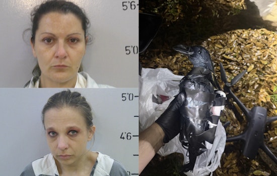 Texas Duo Nabbed After Crow Decoy Drone Drop at Louisiana Lockup