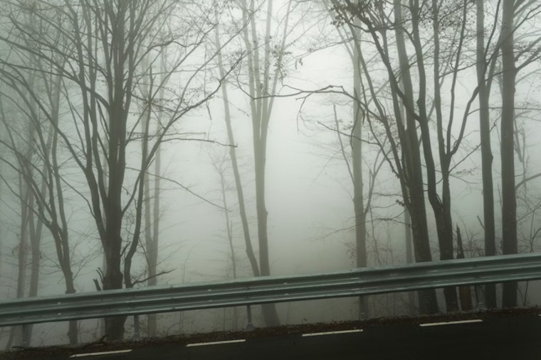 Thick Fog And Street-Slicking Showers Snarl Houston's Sunday Commute