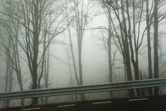Thick Fog And Street-Slicking Showers Snarl Houston's Sunday Commute