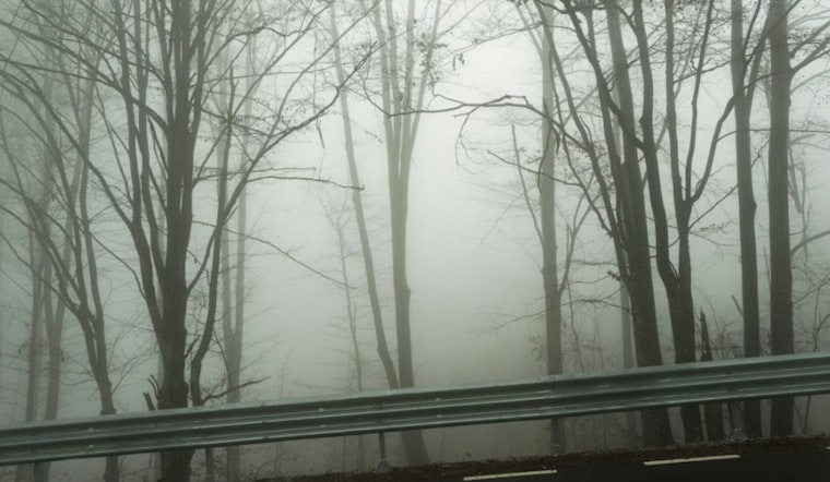 Thick Fog And Street-Slicking Showers Snarl Houston's Sunday Commute