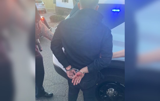Thornton Cops Collar Suspect After Violent Home Break-In