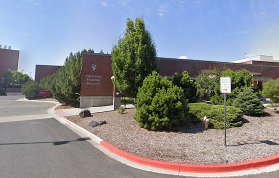 Threats Spook WSU, Pullman Horse Surgery Class Put Out To Pasture