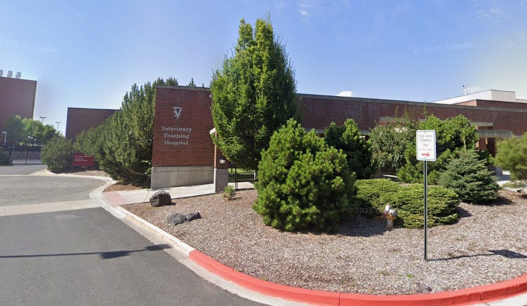 Threats Spook WSU, Pullman Horse Surgery Class Put Out To Pasture