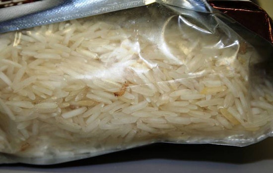 Tiny Grain Killer Nabbed At Austin Airport In First-Of-Its-Kind Bust