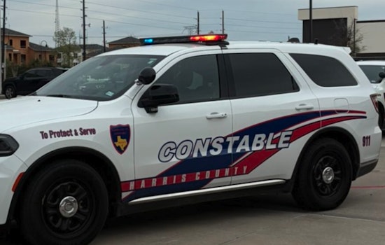 Tomball Parkway Shock: Apartment Robber Pistols Resident, Bolts On Foot